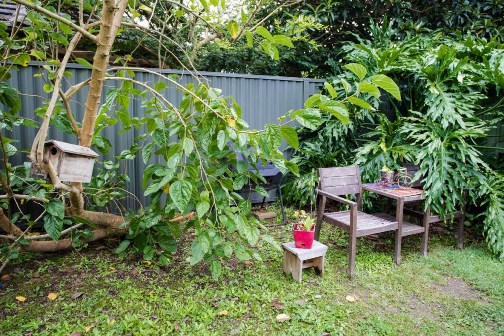 SIL024_LR-Kanwal-Duplex 1_ Shared Outdoor-Backyard Area-8832