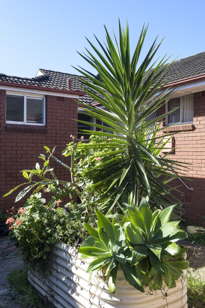 23-SIL016_LR_merewether_outdoor