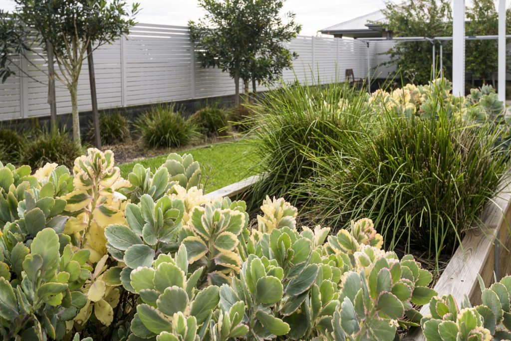 SILL038-LR-fletcher-backyard2