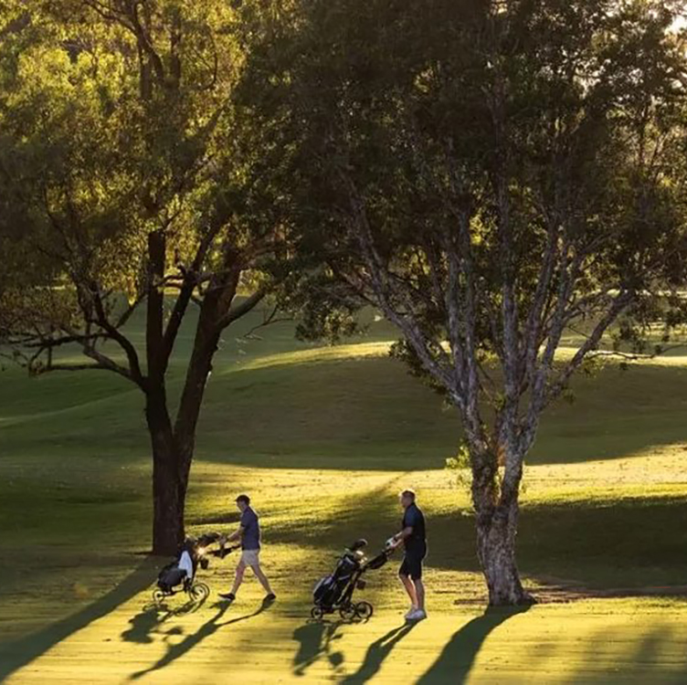 xx95hxwu77ick1kgznpr copy